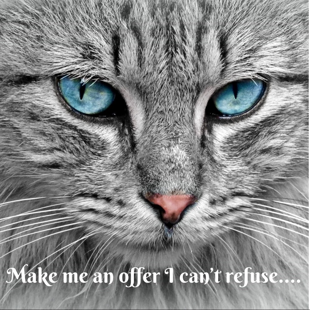 Make me an offer I can’t refuse!